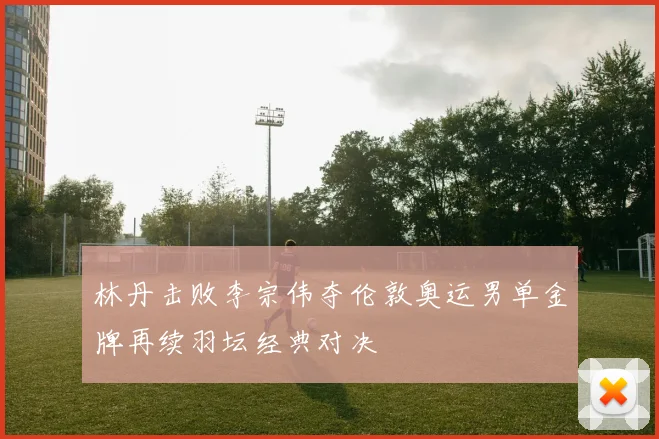 林丹击败李宗伟夺伦敦奥运男单金牌再续羽坛经典对决