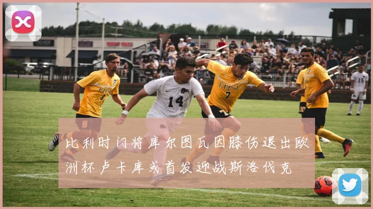 比利时门将库尔图瓦因膝伤退出欧洲杯卢卡库或首发迎战斯洛伐克