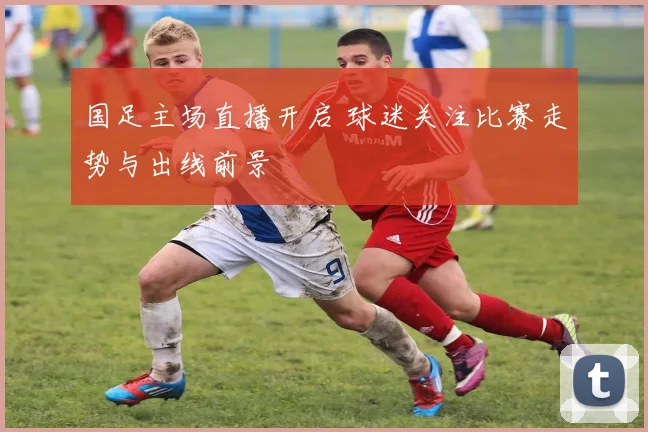 国足主场直播开启 球迷关注比赛走势与出线前景
